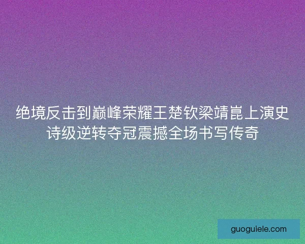 绝境反击到巅峰荣耀王楚钦梁靖崑上演史诗级逆转夺冠震撼全场书写传奇