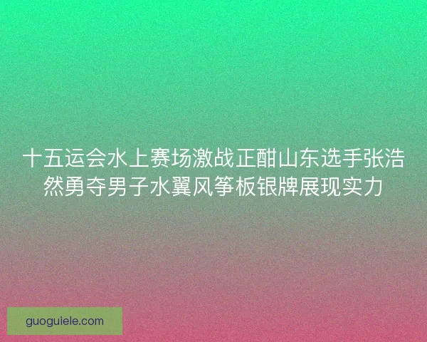十五运会水上赛场激战正酣山东选手张浩然勇夺男子水翼风筝板银牌展现实力 十五运会水上赛场激战正酣山东选手张浩然勇夺男子水翼风筝板银牌展现实力